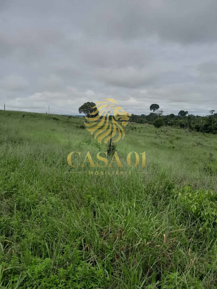 commercial-/-agricultural-area-rural-vale-do-anari-ro