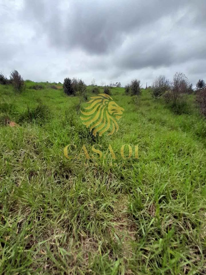 commercial-/-agricultural-area-rural-vale-do-anari-ro