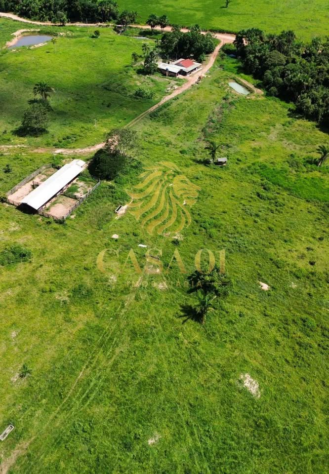 commercial-/-agricultural-area-rural-vale-do-anari-ro