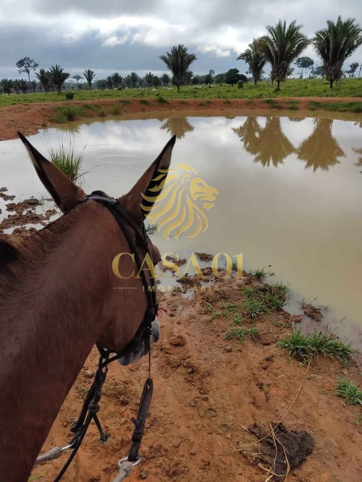 commercial-/-agricultural-area-rural-vale-do-anari-ro