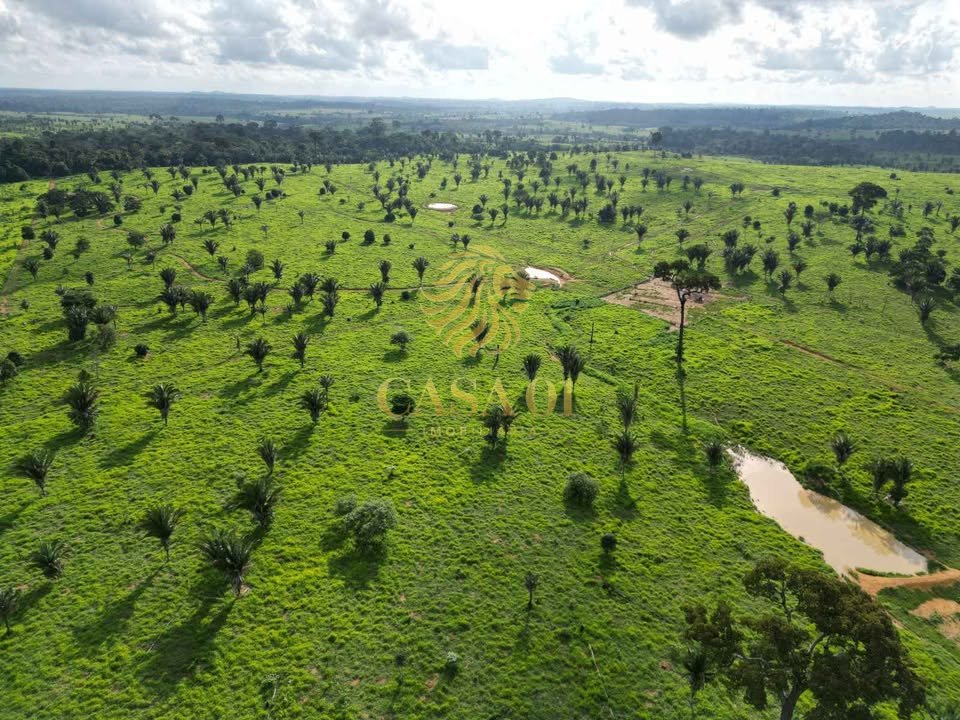 commercial-/-agricultural-area-rural-vale-do-anari-ro