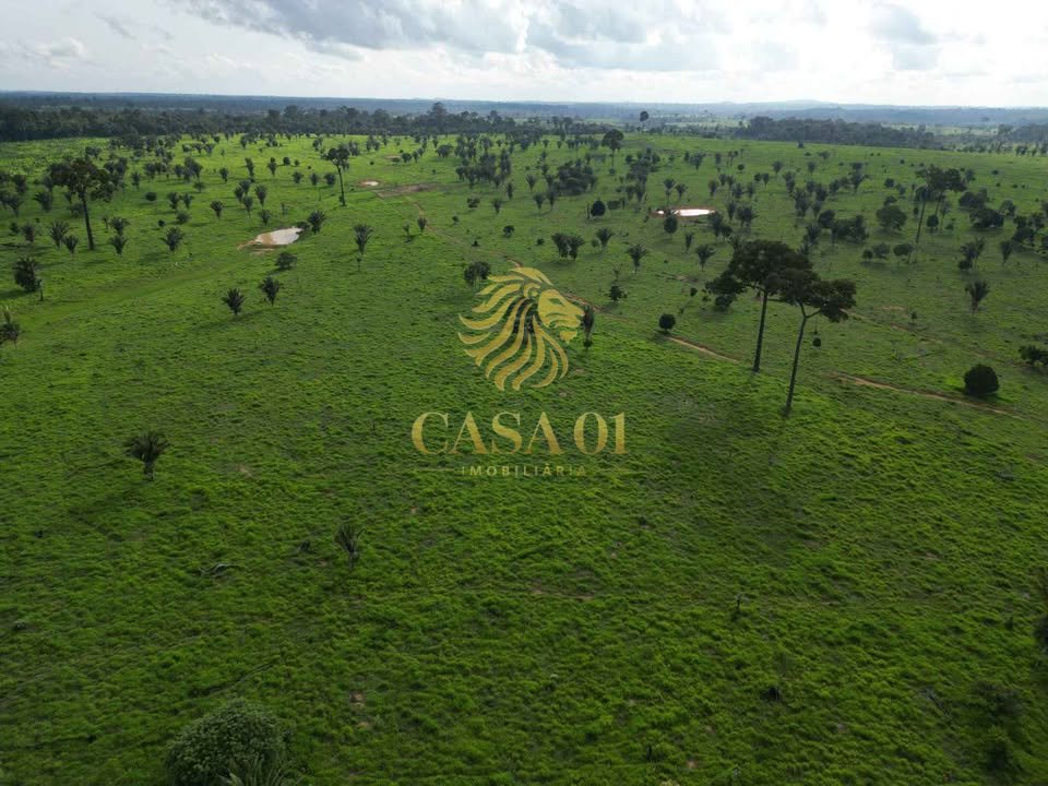 commercial-/-agricultural-area-rural-vale-do-anari-ro