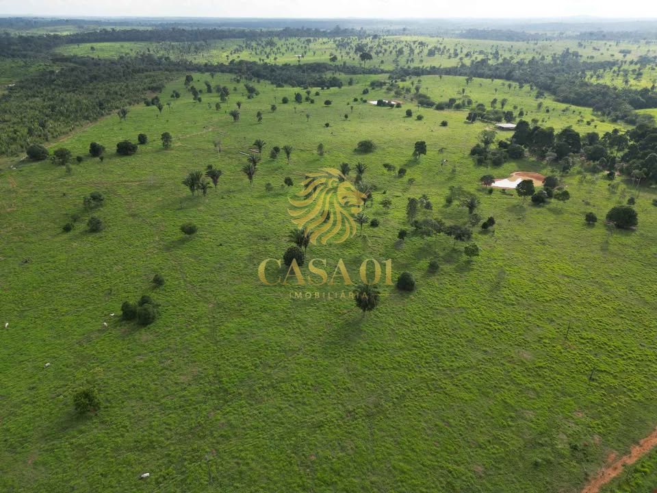 commercial-/-agricultural-area-rural-vale-do-anari-ro