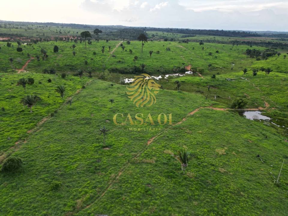 commercial-/-agricultural-area-rural-vale-do-anari-ro