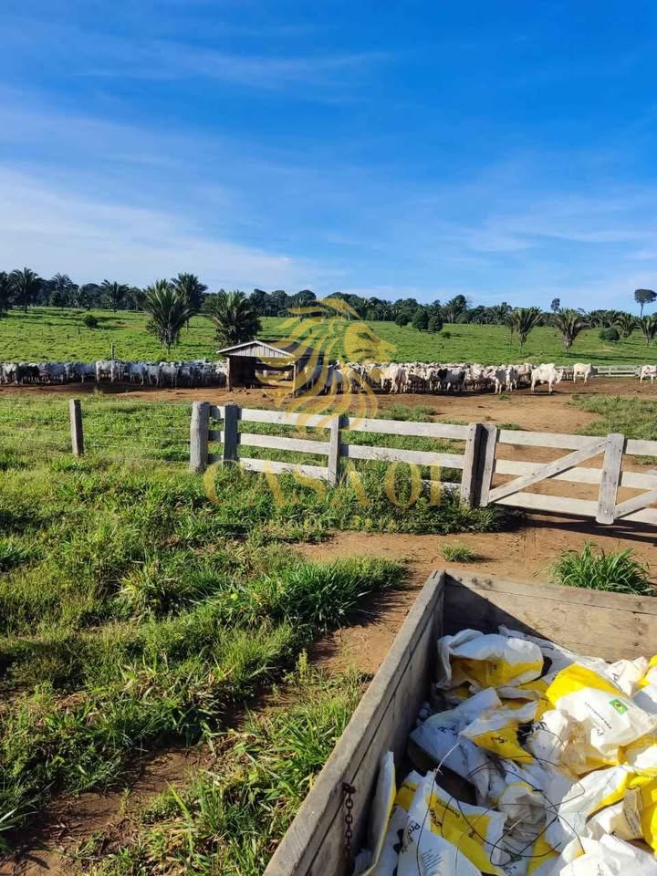 commercial-/-agricultural-area-rural-vale-do-anari-ro