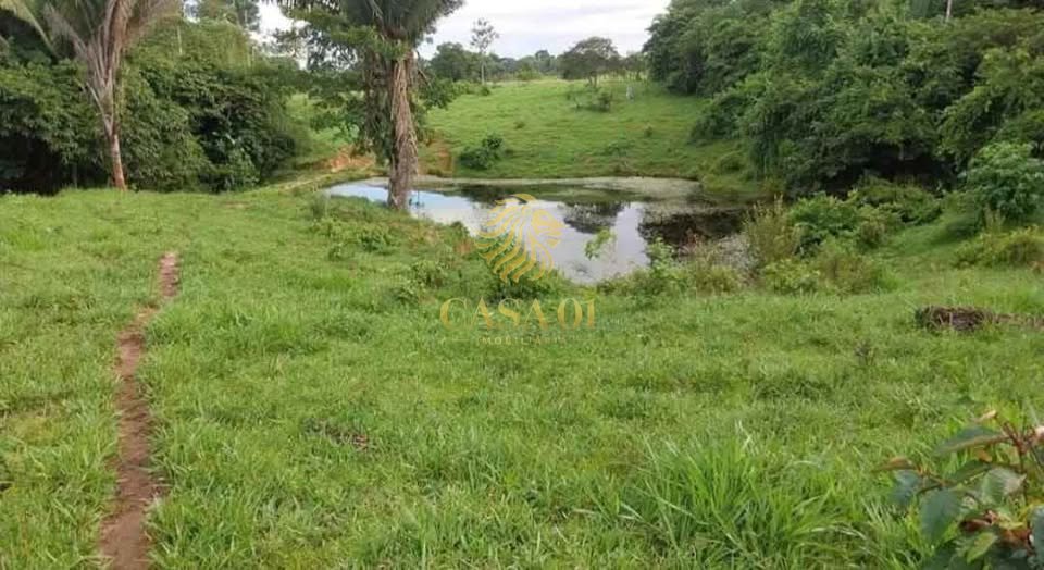 commercial-/-agricultural-area-rural-ji-parana-ro
