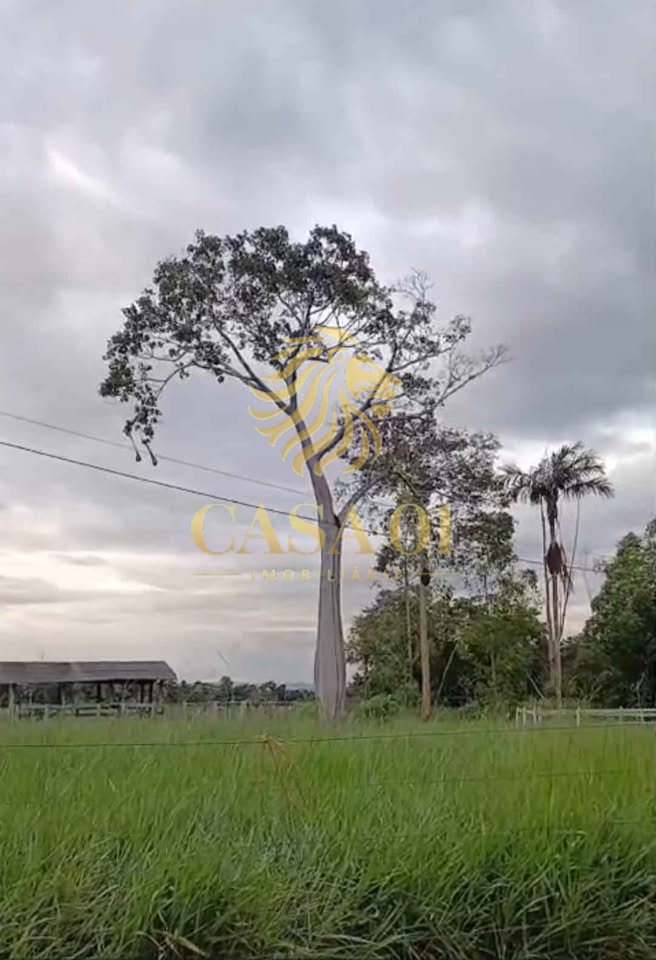 commercial-/-agricultural-area-rural-ji-parana-ro