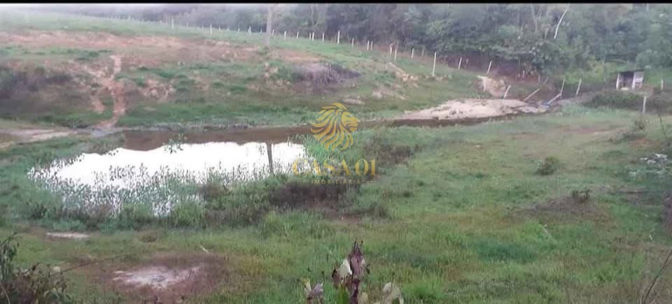 commercial-/-agricultural-area-rural-ji-parana-ro