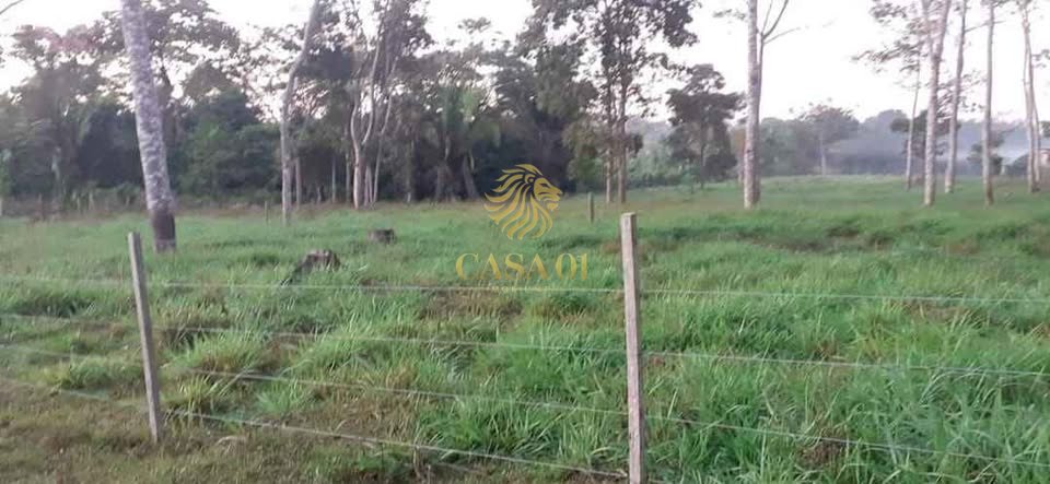 commercial-/-agricultural-area-rural-ji-parana-ro