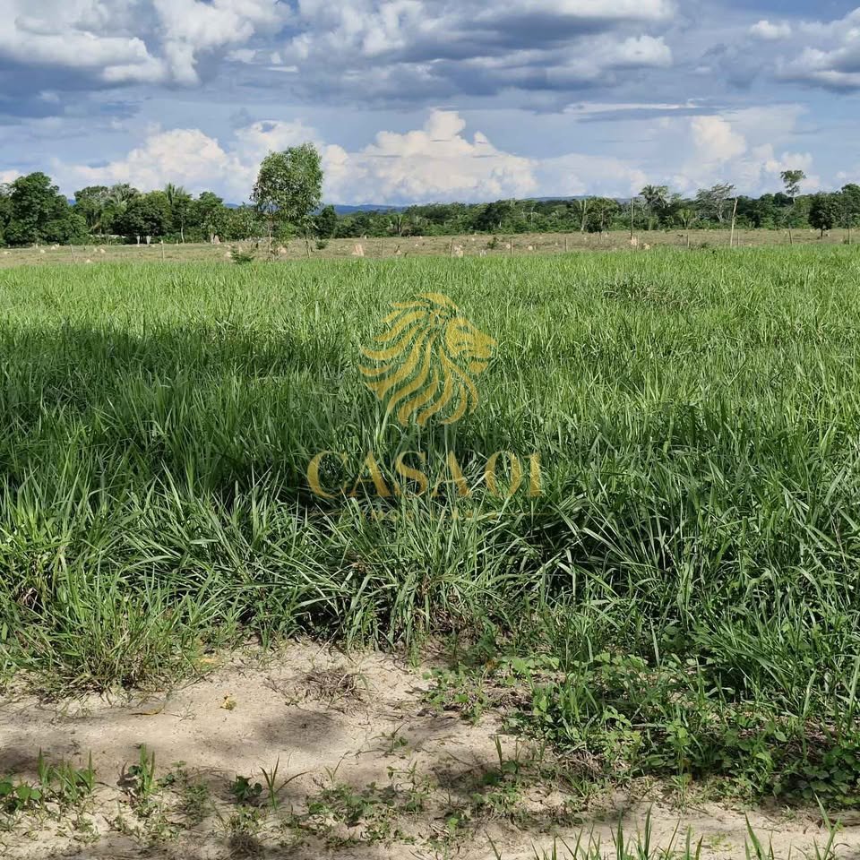 commercial-/-agricultural-area-rural-ji-parana-ro