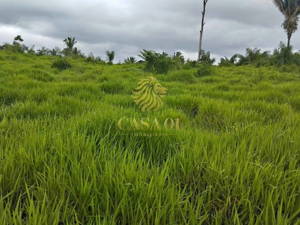 commercial-/-agricultural-area-rural-ji-parana-ro