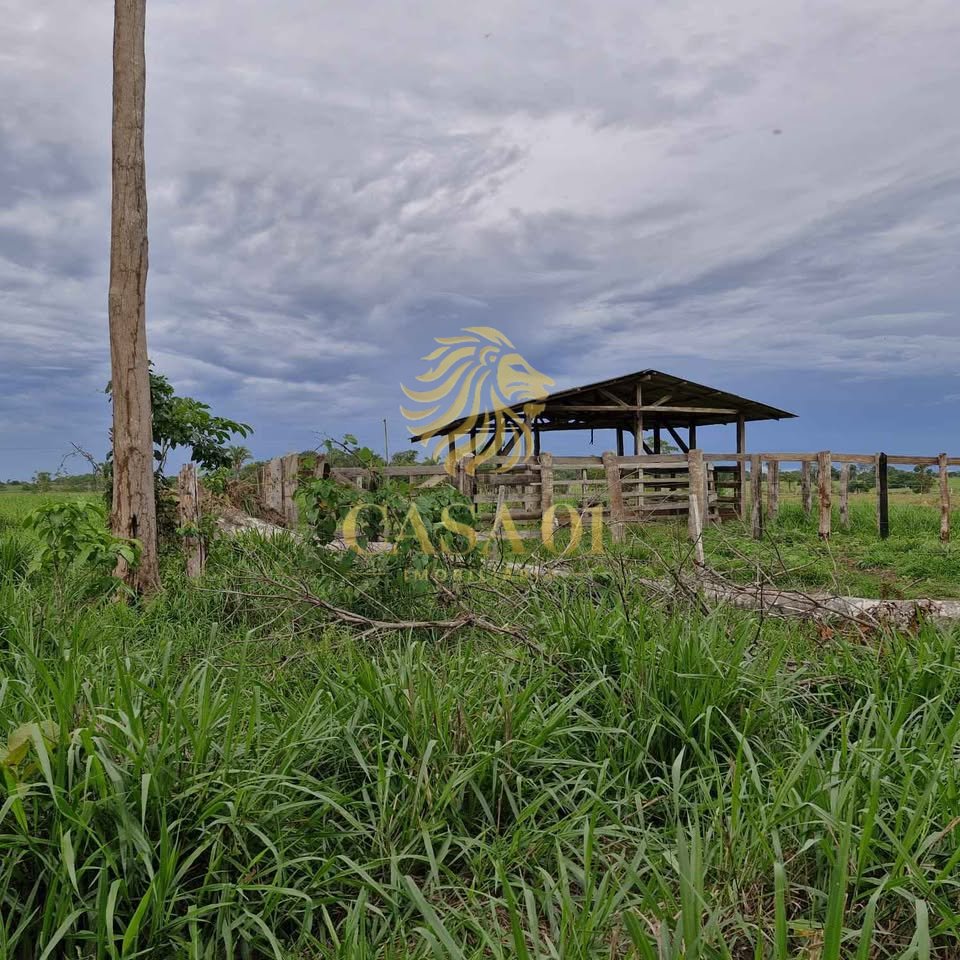 commercial-/-agricultural-area-rural-ji-parana-ro