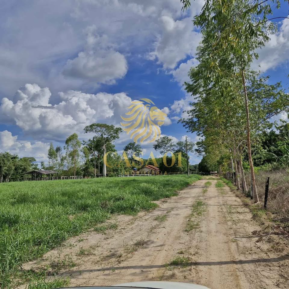 commercial-/-agricultural-area-rural-ji-parana-ro