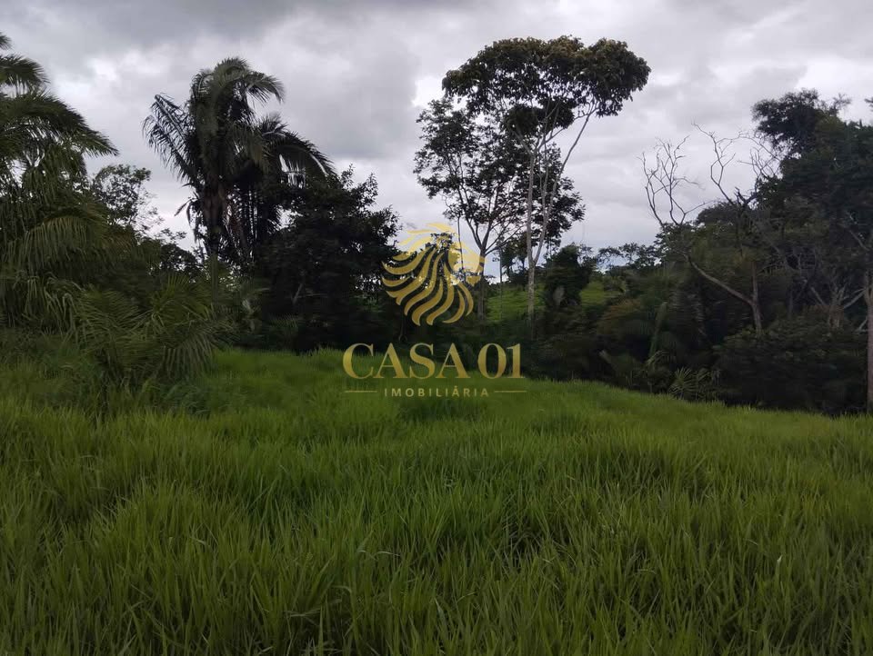 commercial-/-agricultural-area-rural-ouro-preto-do-oeste-ro