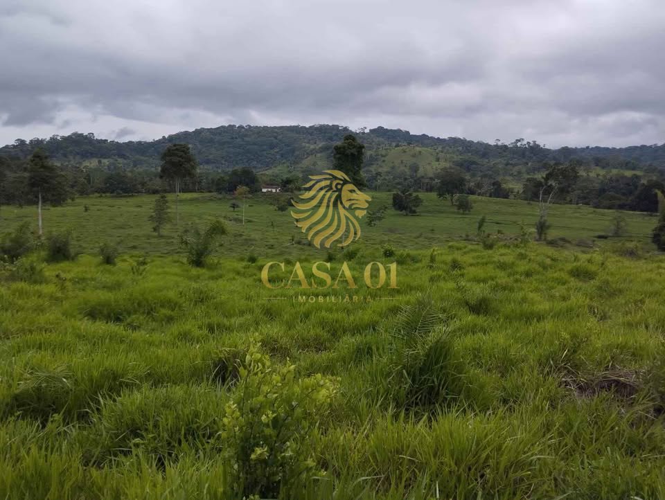 commercial-/-agricultural-area-rural-ouro-preto-do-oeste-ro