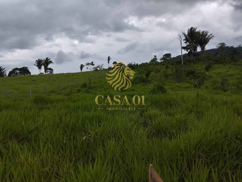 commercial-/-agricultural-area-rural-ouro-preto-do-oeste-ro