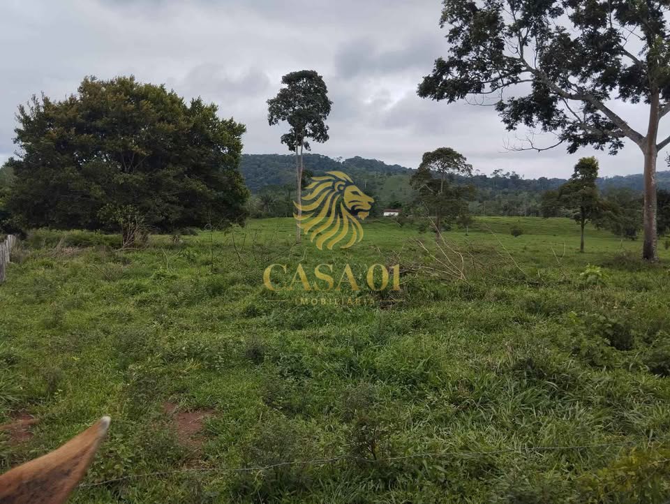 commercial-/-agricultural-area-rural-ouro-preto-do-oeste-ro