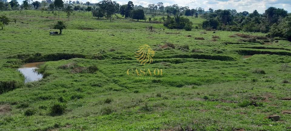 commercial-/-agricultural-area-rural-ouro-preto-do-oeste-ro