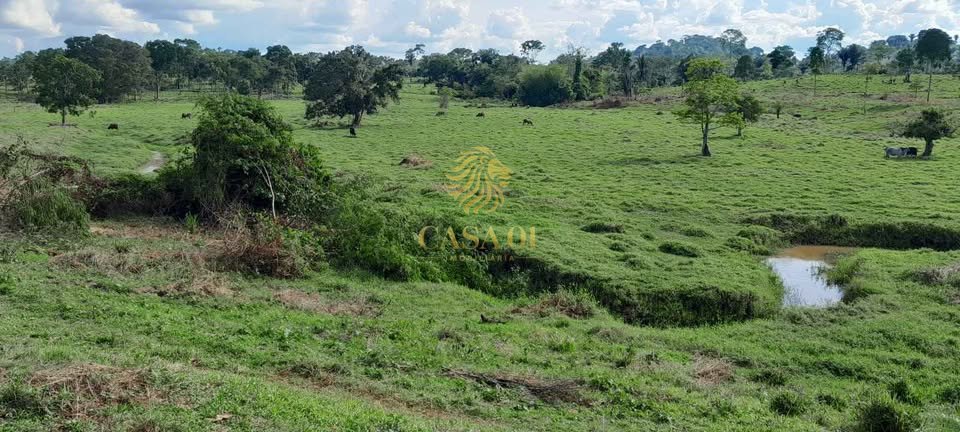 commercial-/-agricultural-area-rural-ouro-preto-do-oeste-ro