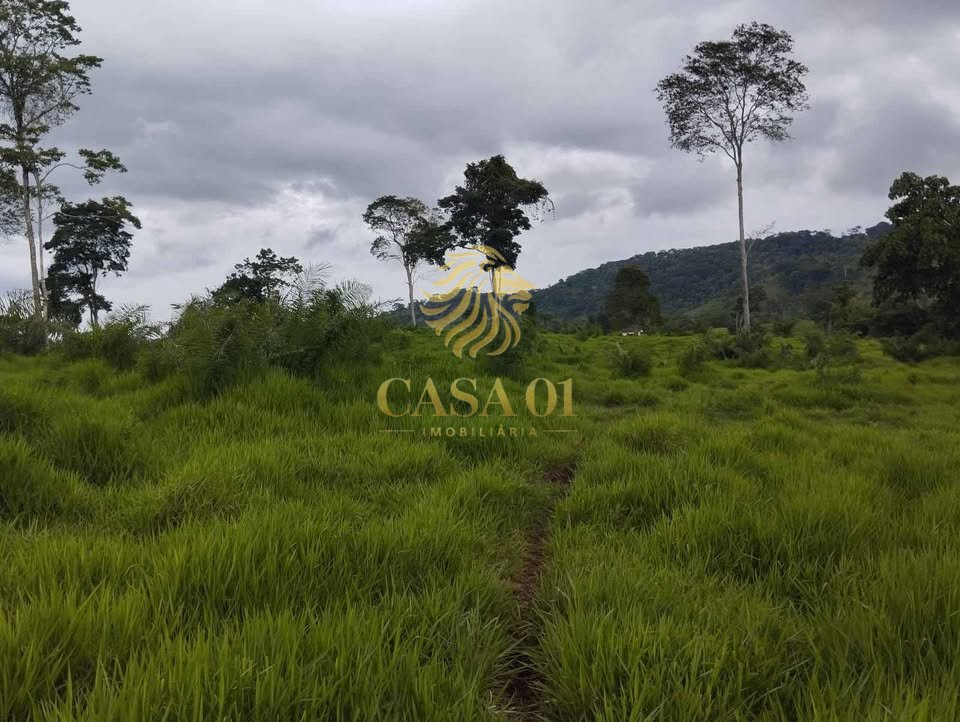 commercial-/-agricultural-area-rural-ouro-preto-do-oeste-ro