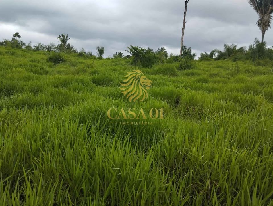 commercial-/-agricultural-area-rural-ouro-preto-do-oeste-ro