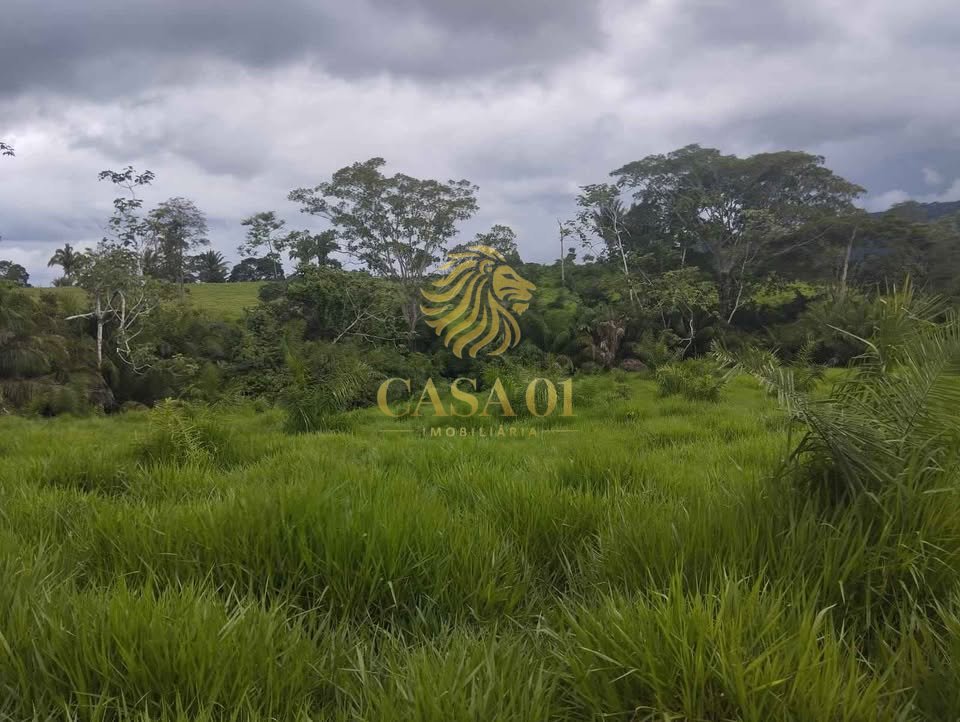 commercial-/-agricultural-area-rural-ouro-preto-do-oeste-ro