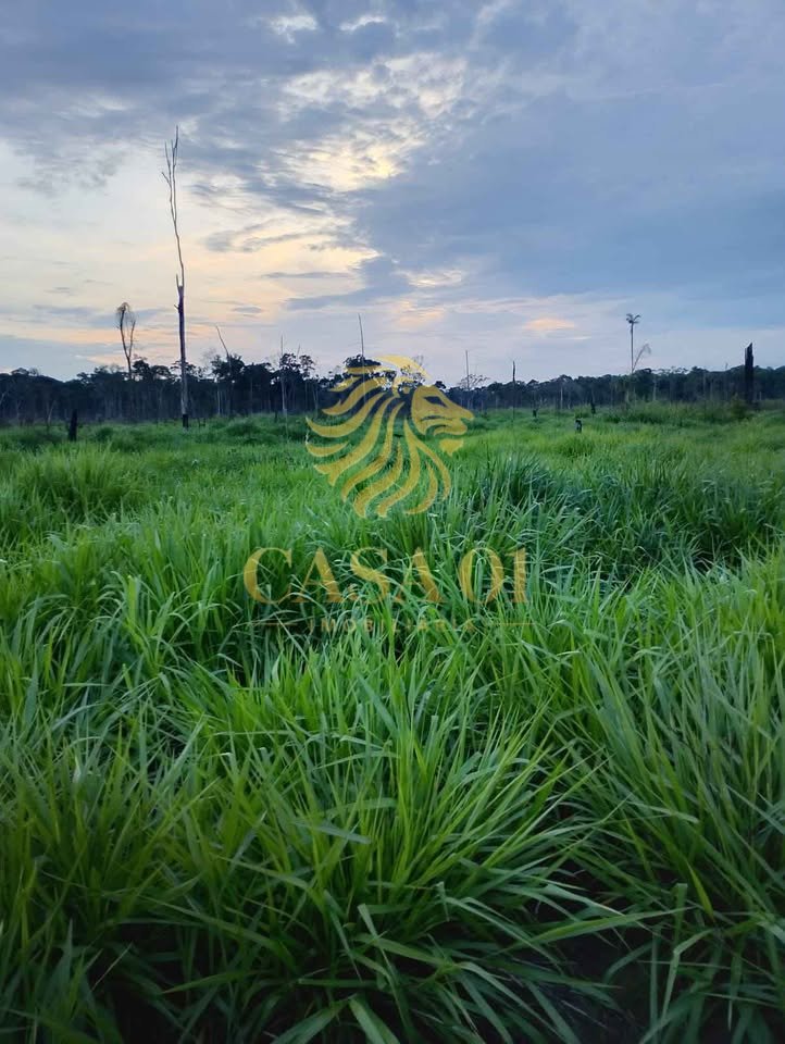 commercial-/-agricultural-area-rural-candeias-do-jamari-ro