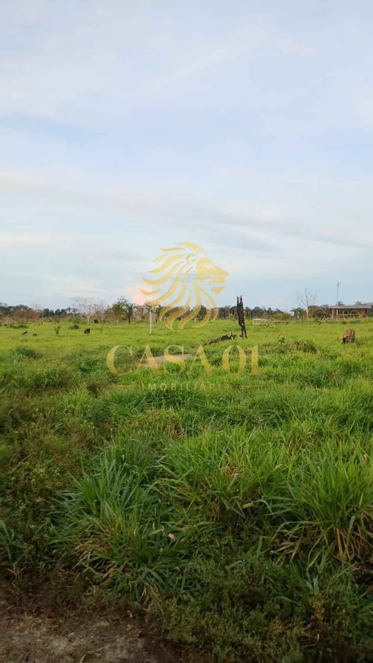 commercial-/-agricultural-area-rural-candeias-do-jamari-ro