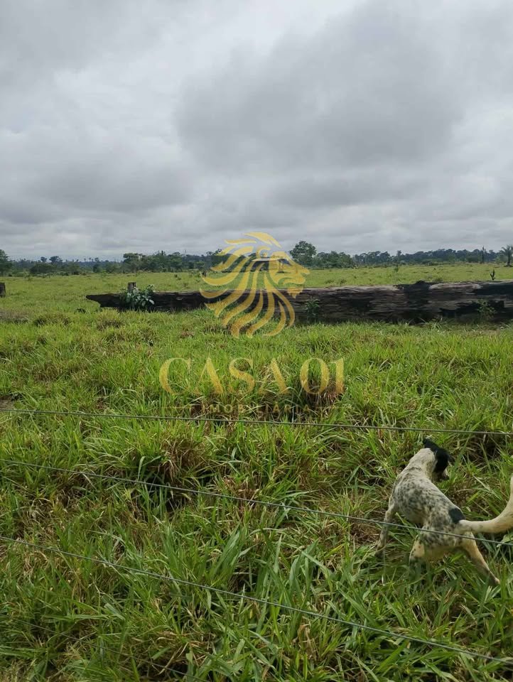 commercial-/-agricultural-area-rural-candeias-do-jamari-ro