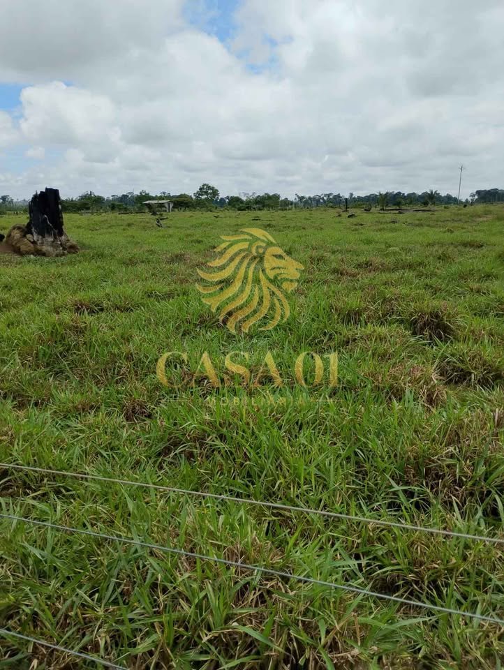commercial-/-agricultural-area-rural-candeias-do-jamari-ro