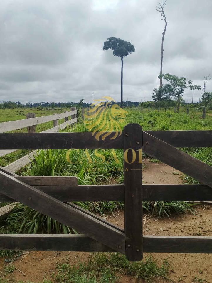 commercial-/-agricultural-area-rural-candeias-do-jamari-ro