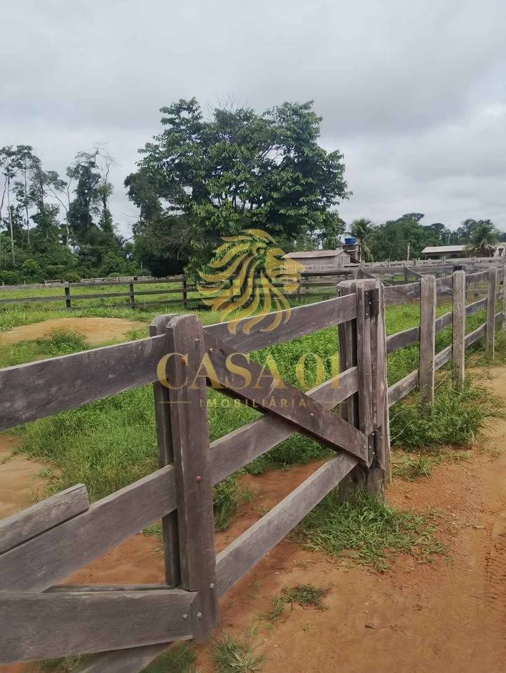 commercial-/-agricultural-area-rural-candeias-do-jamari-ro