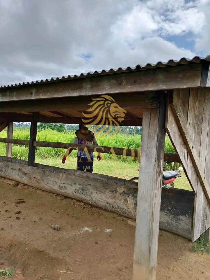 commercial-/-agricultural-area-rural-candeias-do-jamari-ro