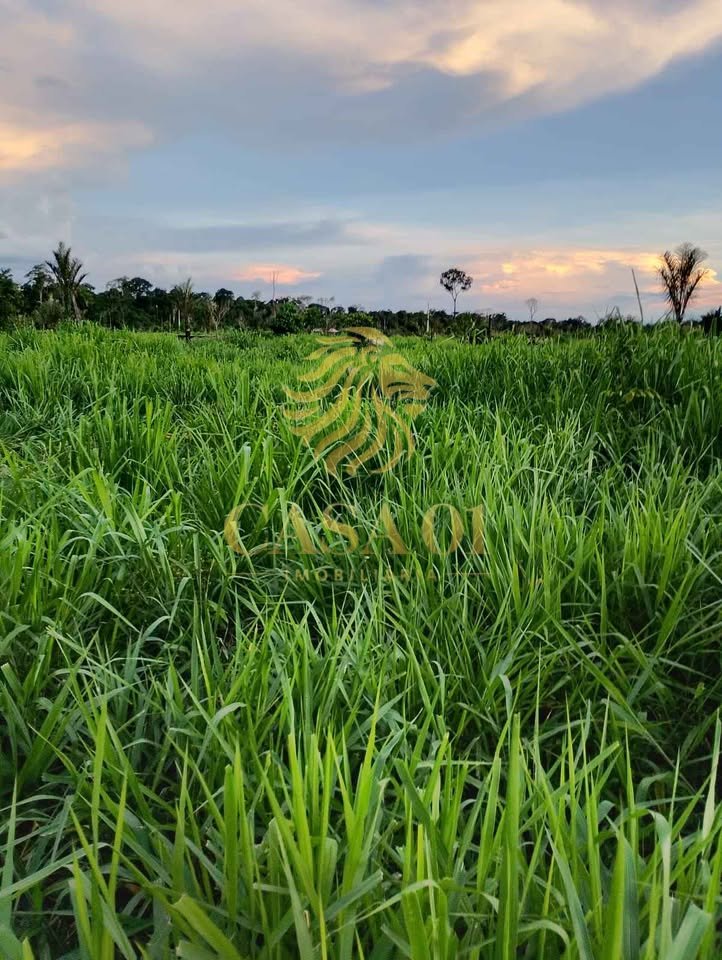 commercial-/-agricultural-area-rural-candeias-do-jamari-ro