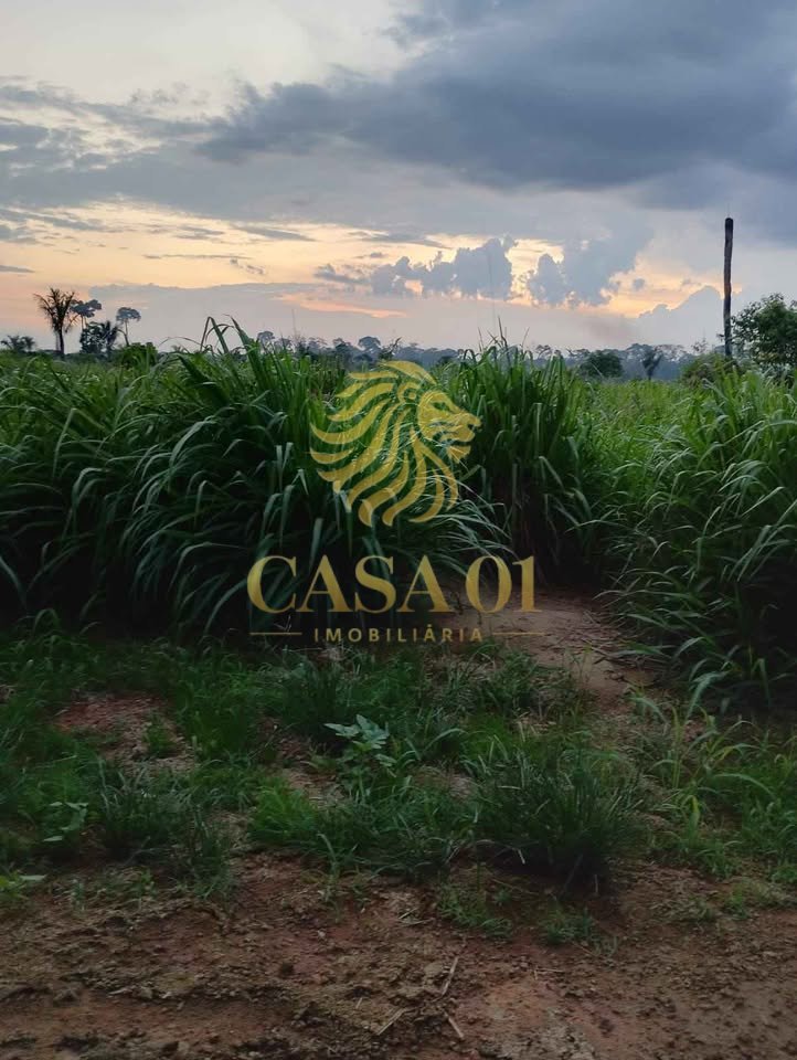 commercial-/-agricultural-area-rural-candeias-do-jamari-ro