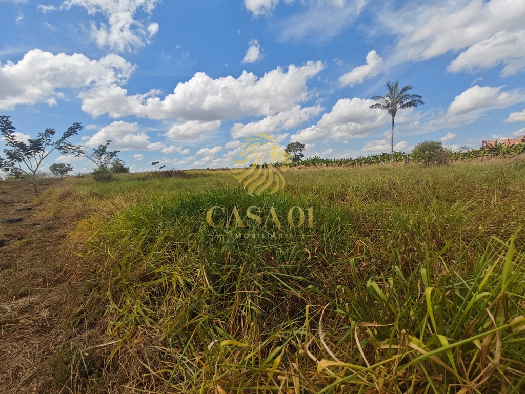 residential-/-land-lot-linha-6-cacoal-ro
