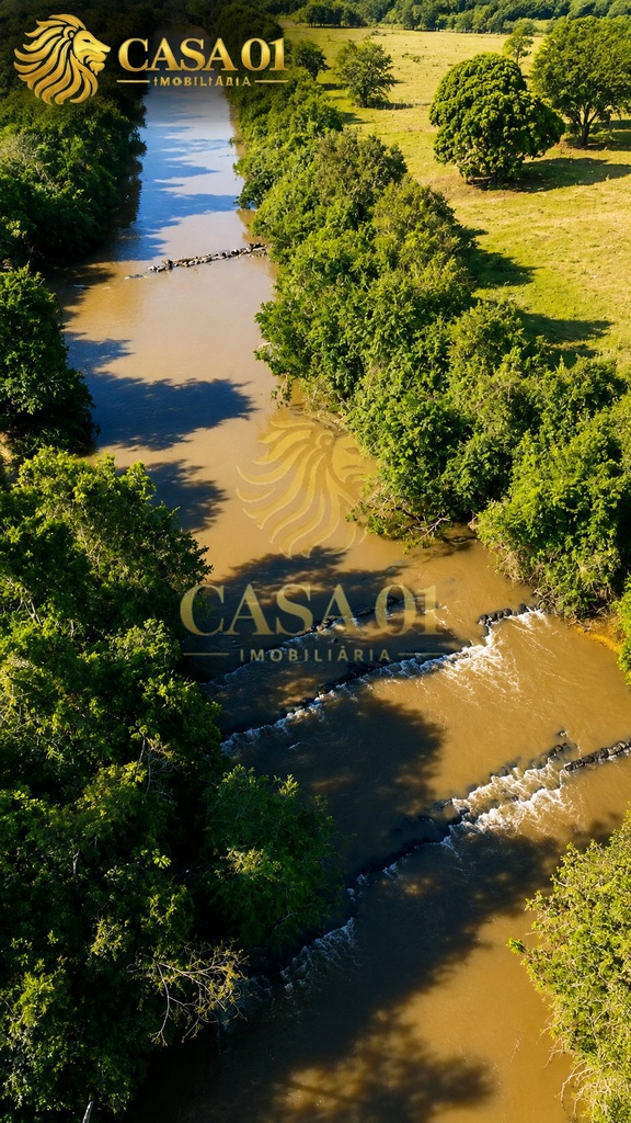 commercial-/-agricultural-area-rural-cacoal-ro