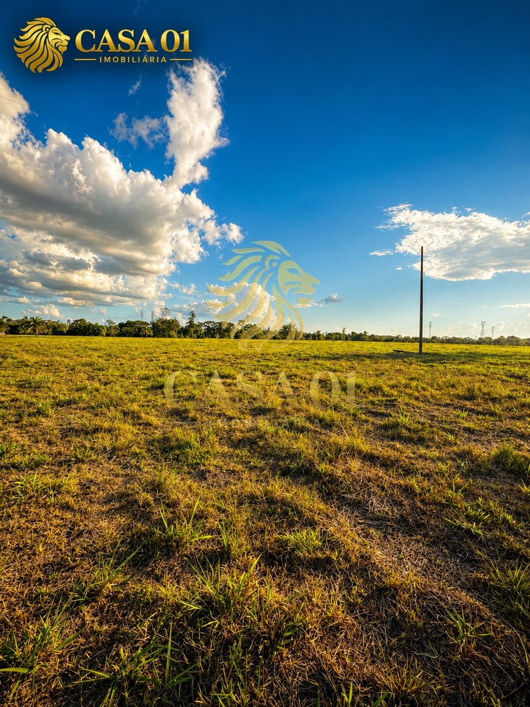 commercial-/-agricultural-area-rural-cacoal-ro
