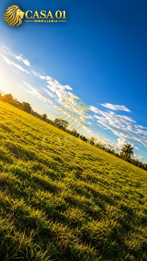 commercial-/-agricultural-area-rural-cacoal-ro