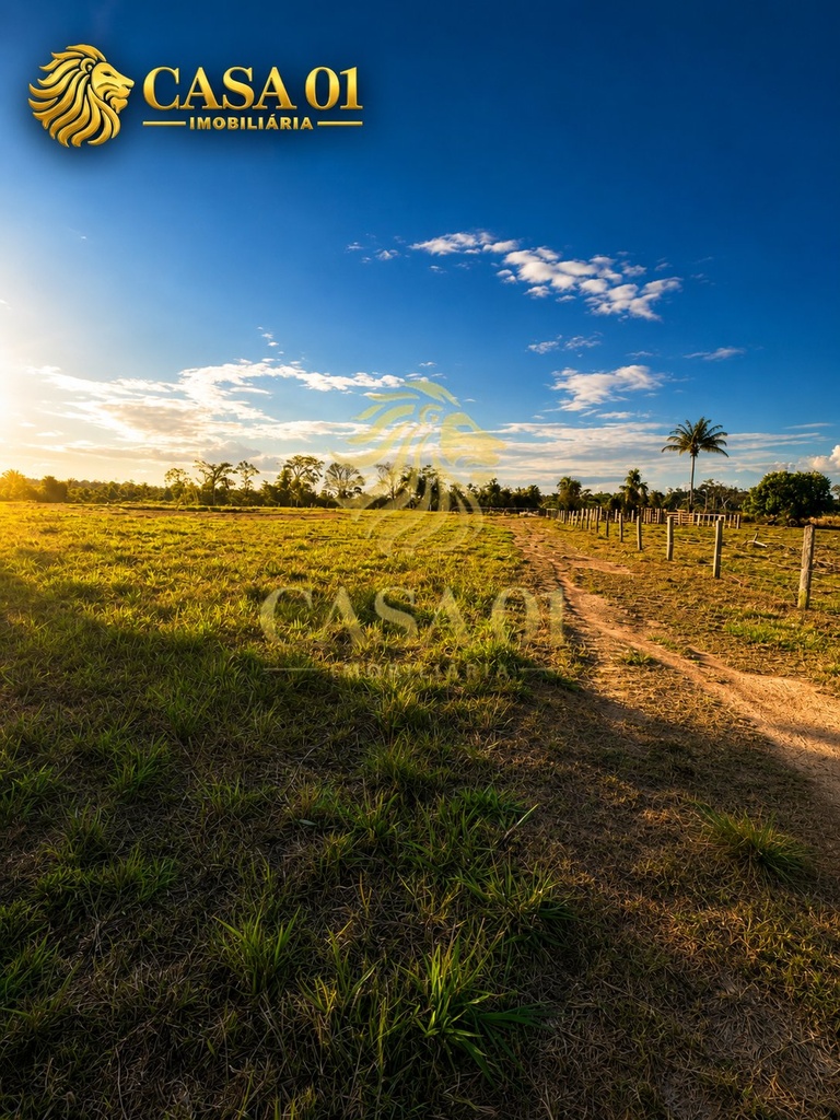 commercial-/-agricultural-area-rural-cacoal-ro