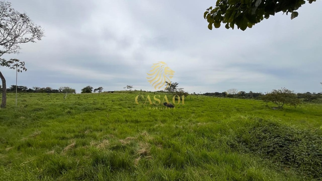 commercial-/-agricultural-2-quartos-area-rural-cacoal-ro