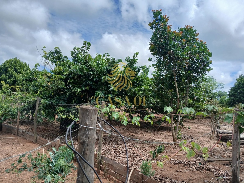 commercial-/-agricultural-area-rural-de-cacoal-cacoal-ro