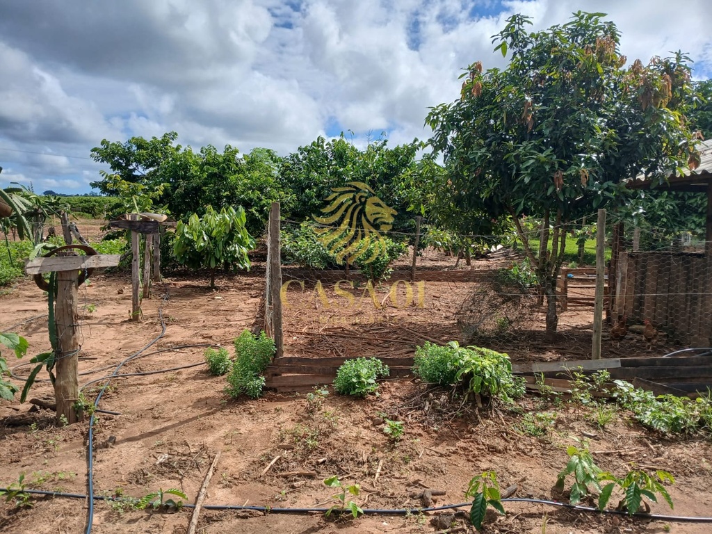 commercial-/-agricultural-area-rural-de-cacoal-cacoal-ro