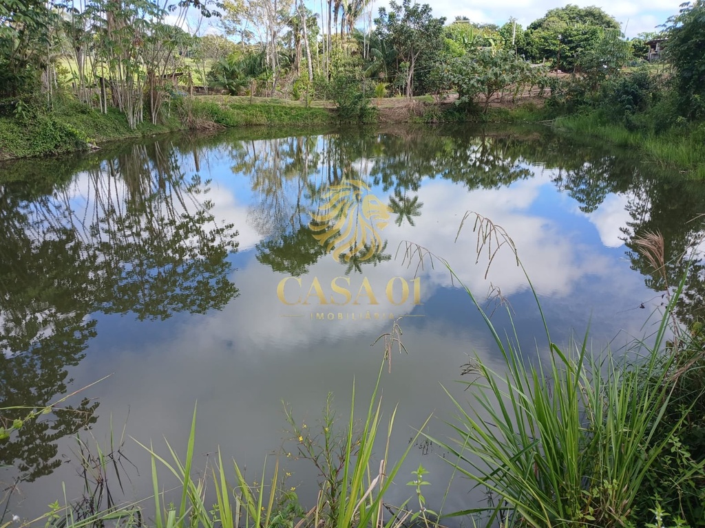 commercial-/-agricultural-area-rural-de-cacoal-cacoal-ro