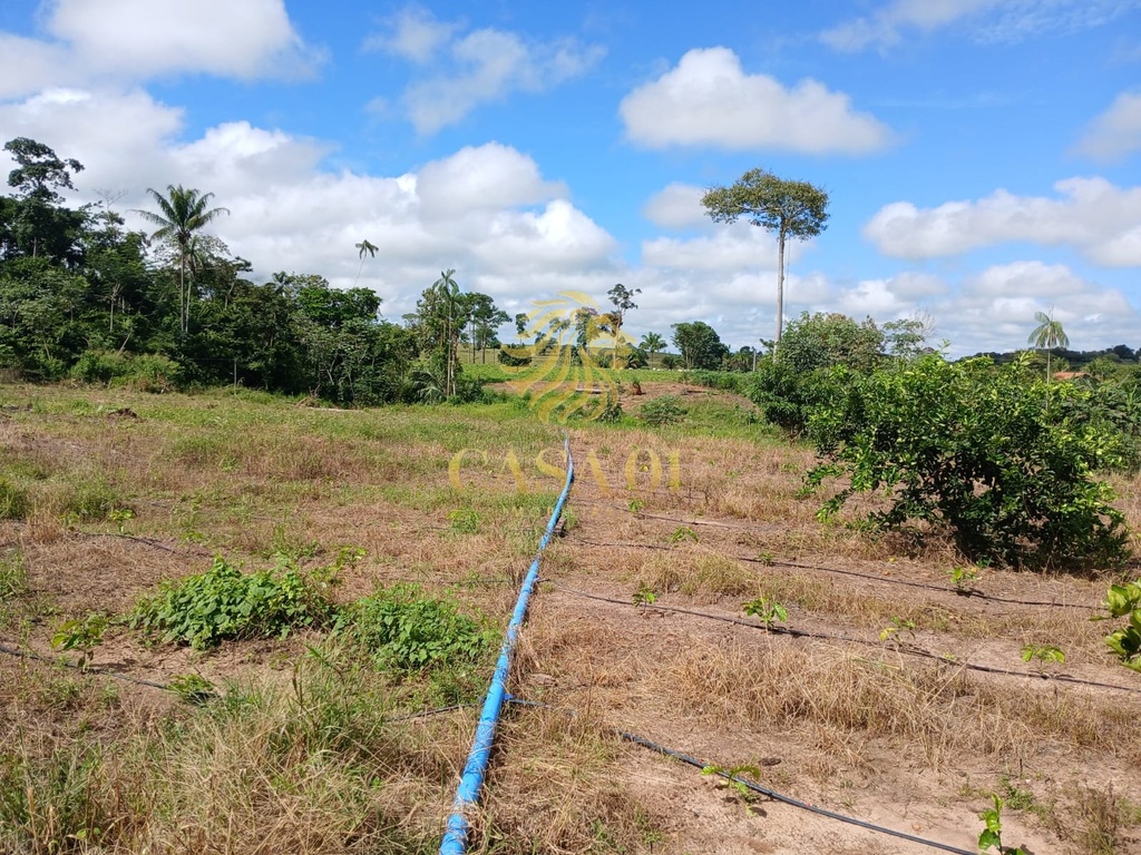 commercial-/-agricultural-area-rural-de-cacoal-cacoal-ro