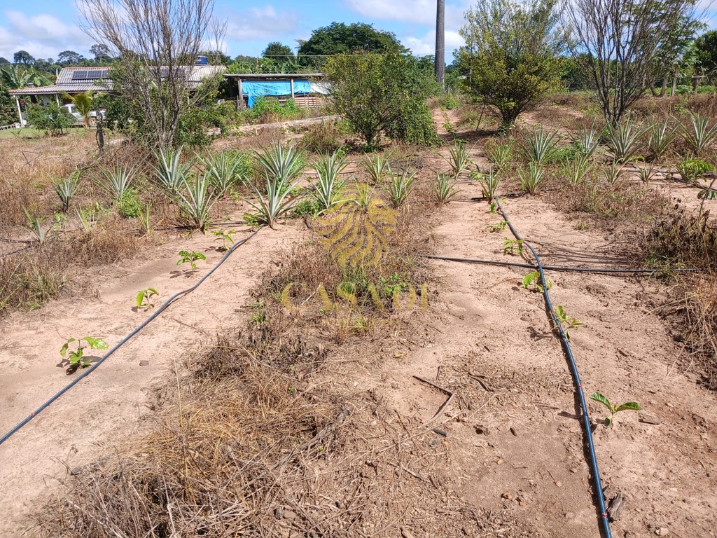 commercial-/-agricultural-area-rural-de-cacoal-cacoal-ro