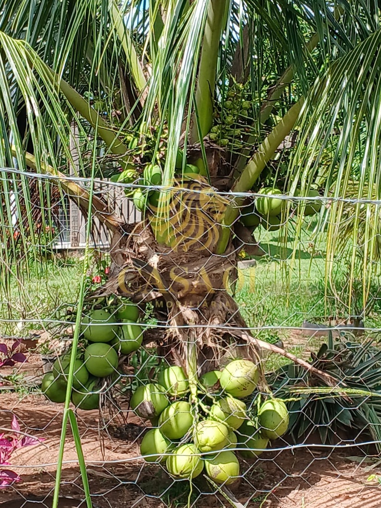 commercial-/-agricultural-area-rural-de-cacoal-cacoal-ro