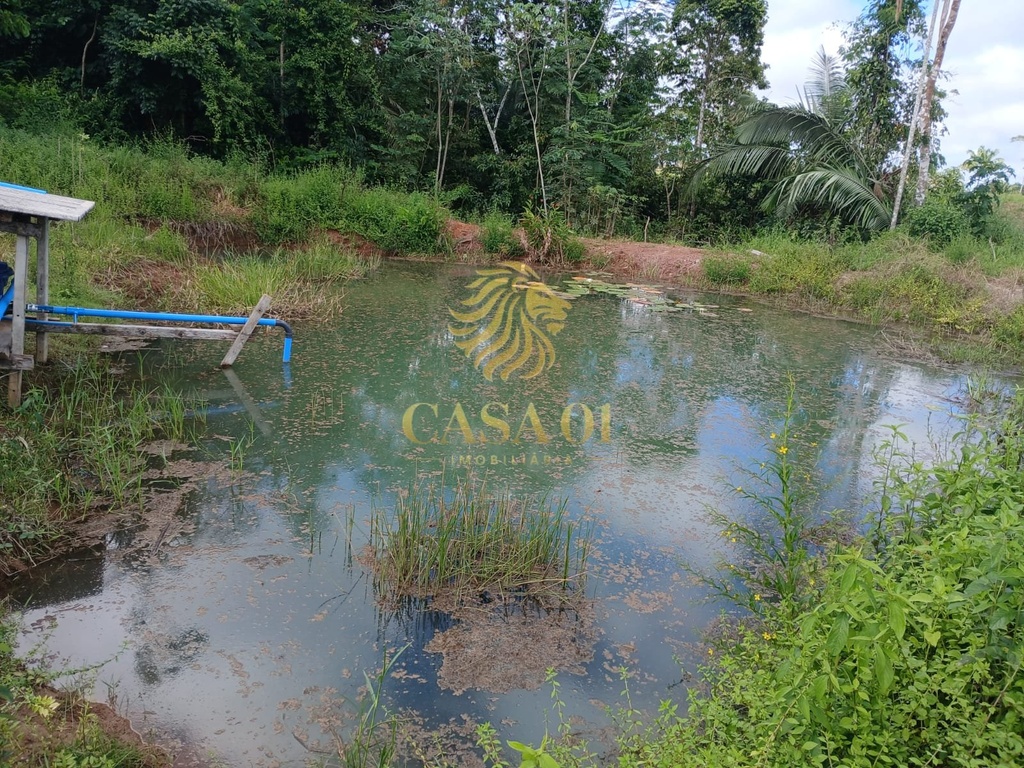 commercial-/-agricultural-area-rural-de-cacoal-cacoal-ro