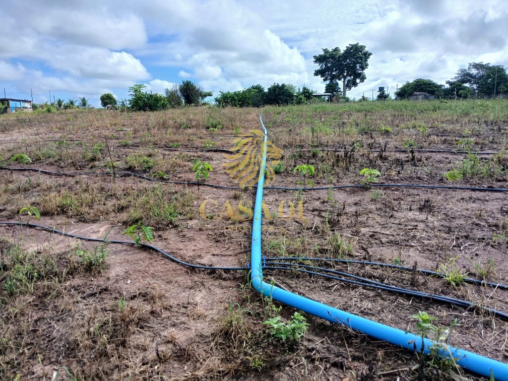 commercial-/-agricultural-area-rural-de-cacoal-cacoal-ro