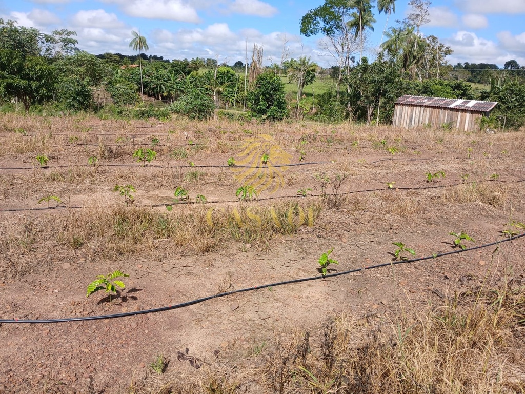 commercial-/-agricultural-area-rural-de-cacoal-cacoal-ro